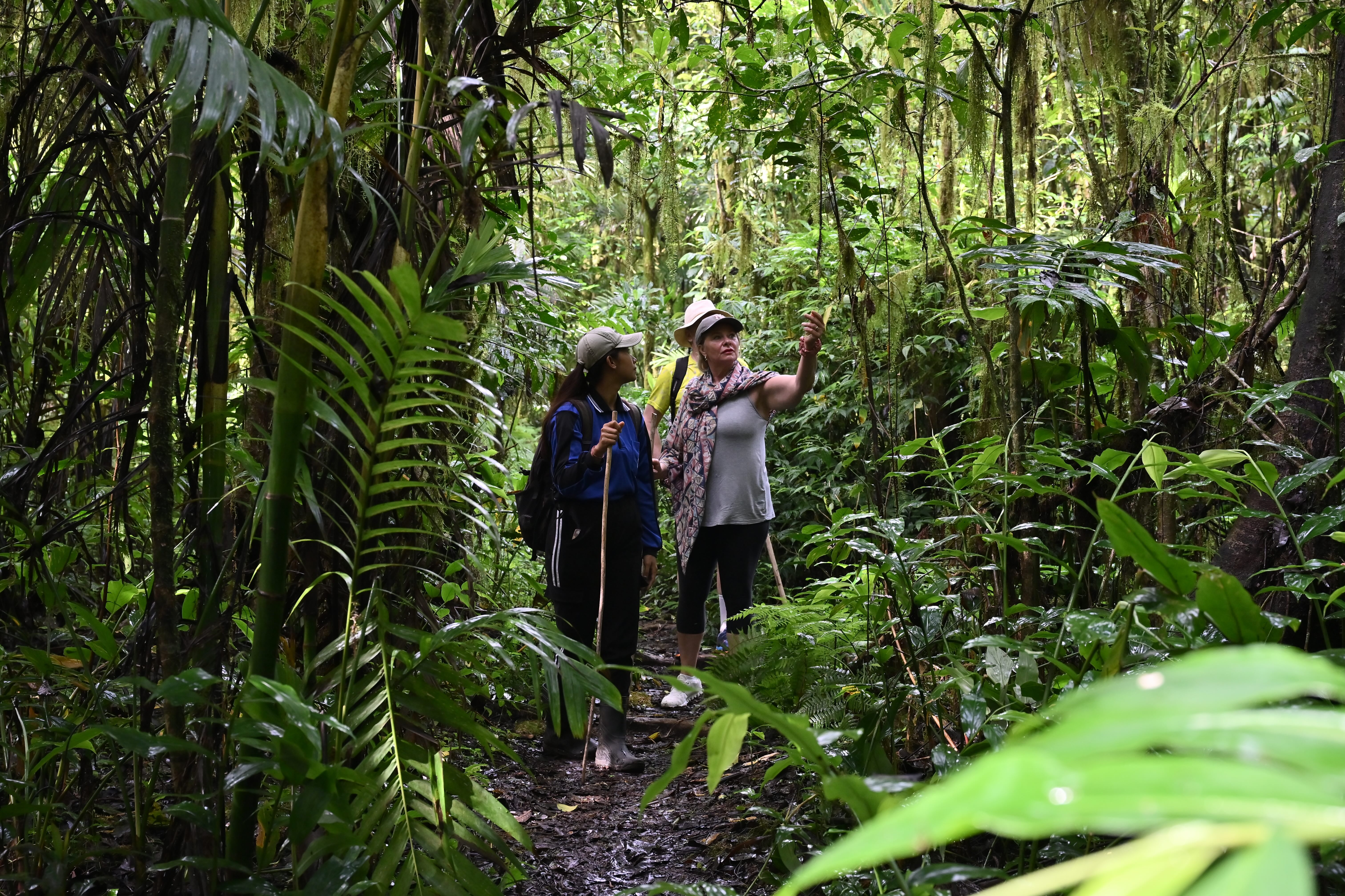 Canoe And Jungle Trekking