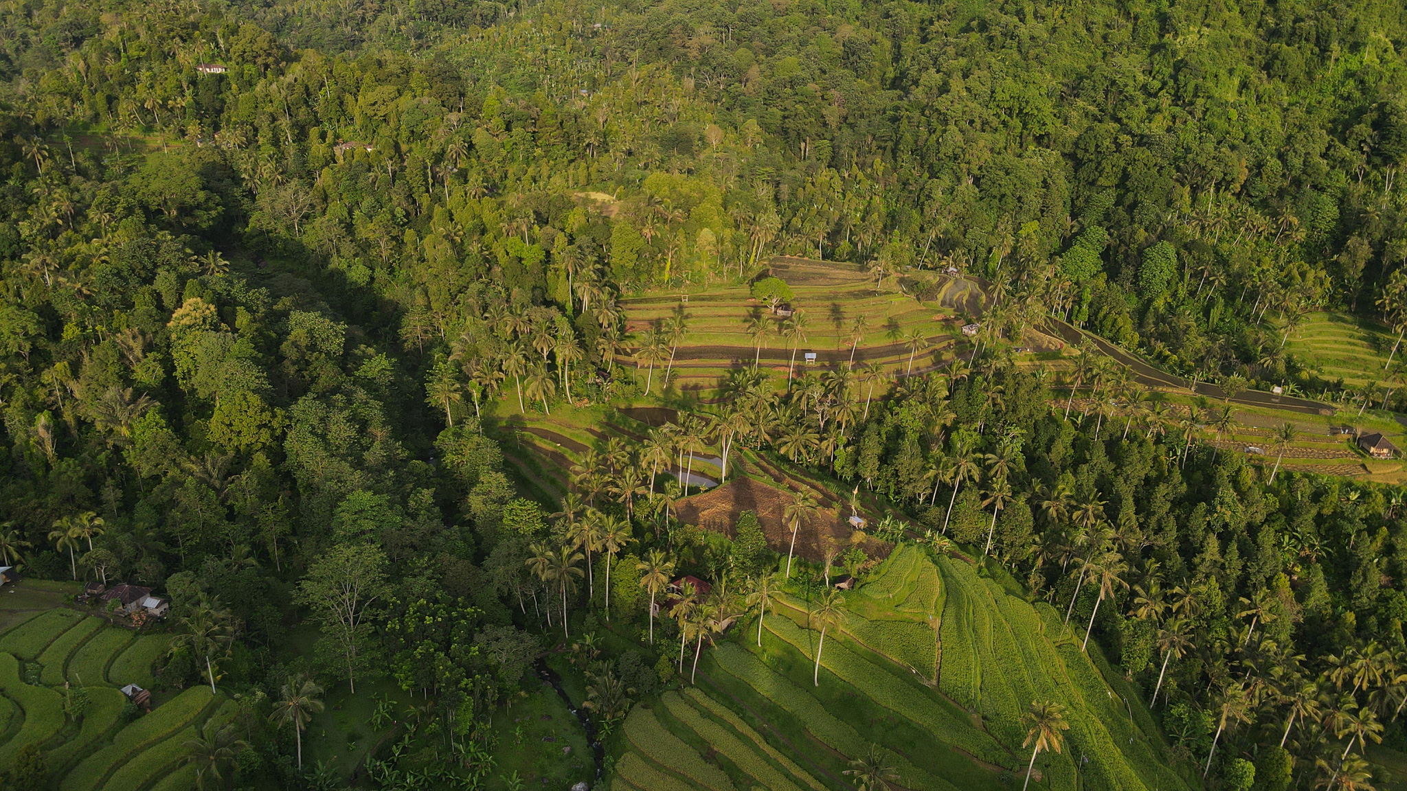 Lemukih Trekking (Short Trekking)