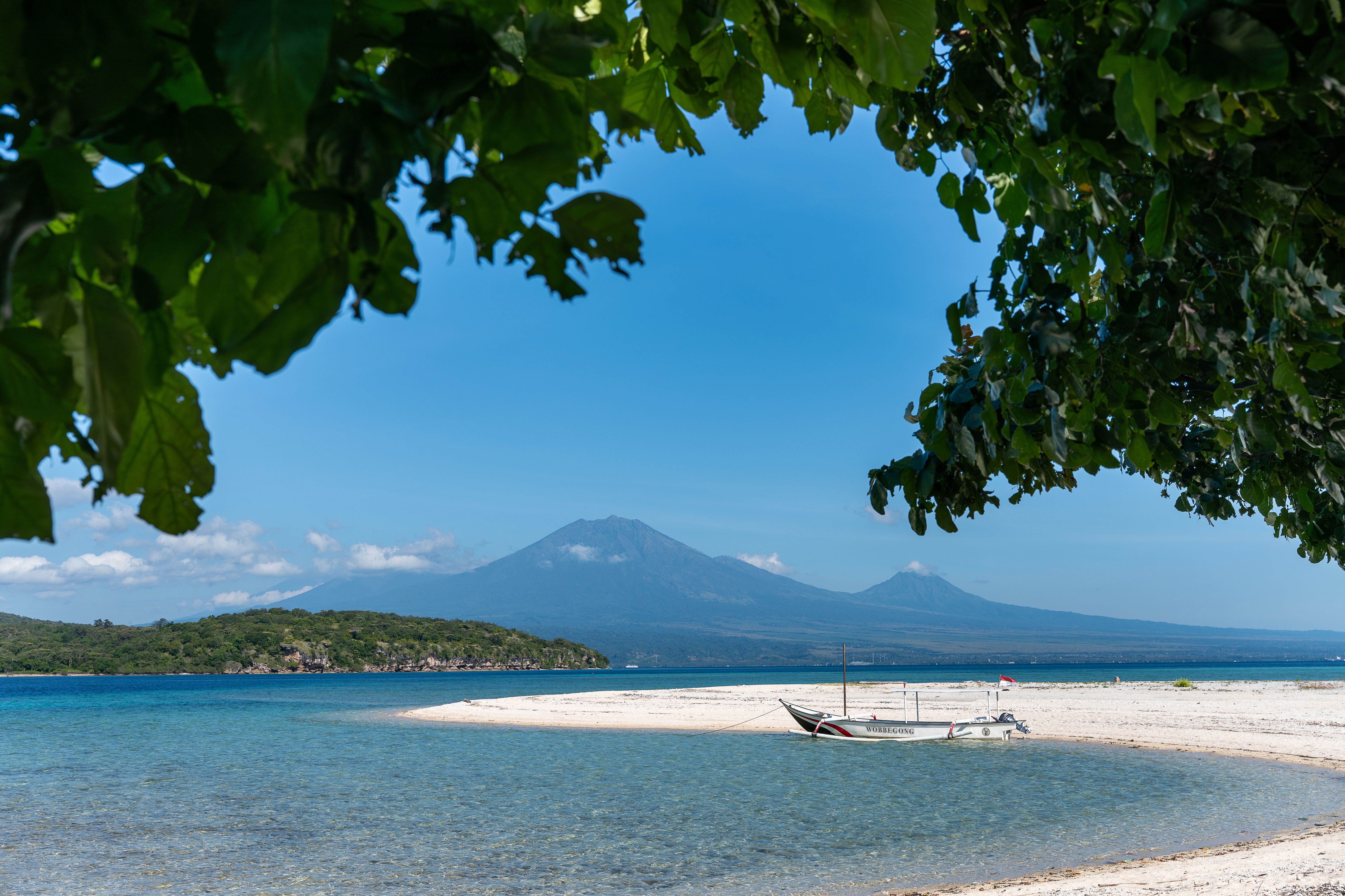 Snorkeling at Menjangan and West Bali National Park Safari Tour