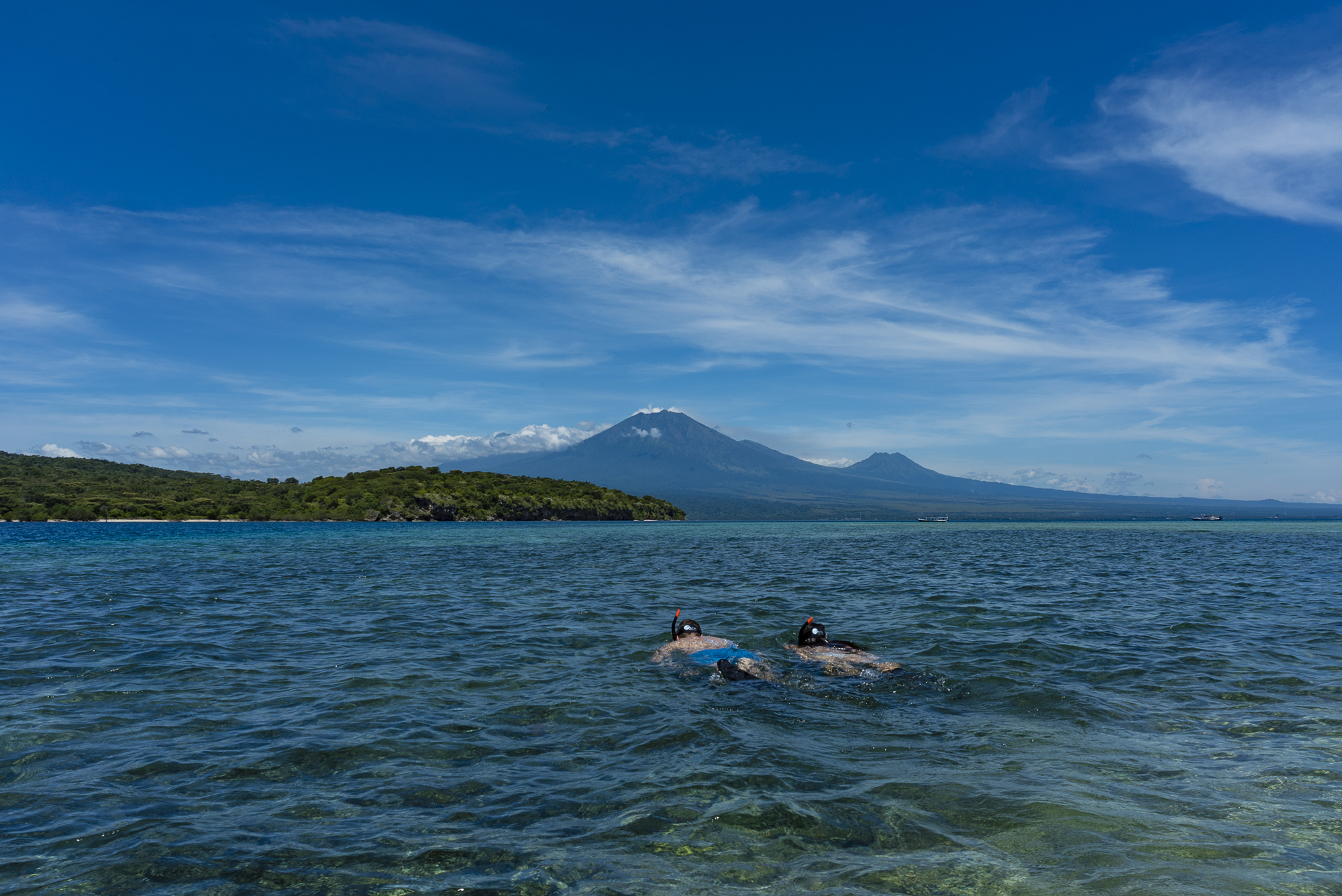 Snorkeling at Menjangan Island