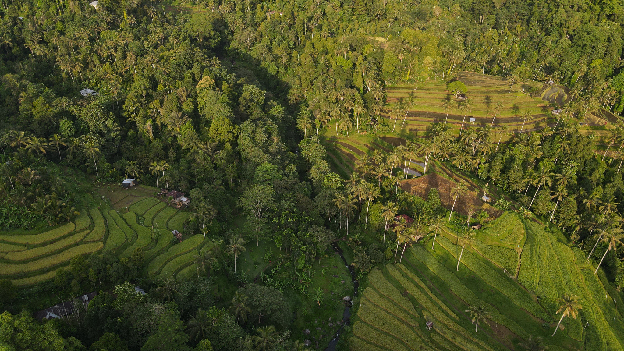 Lemukih Trekking (Medium Trekking)